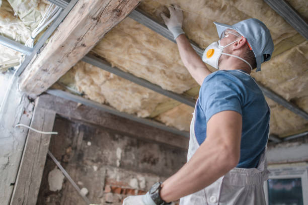 Best Spray Foam Insulation in Shannon, GA