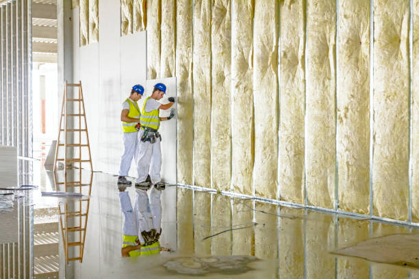 Best DIY Insulation Kits and Guidance in Shannon, GA